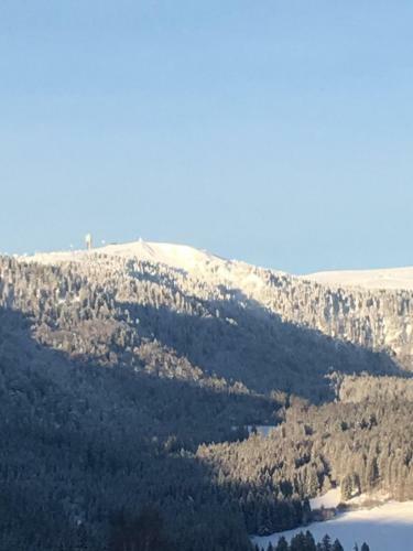 Apartamento Ferienwohnung " Am Berg "