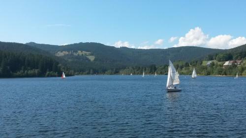 Apartamento Ferienwohnung Feldberg Schwarzwaldnest