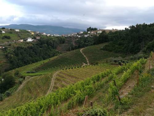 Quinta Da Portelada