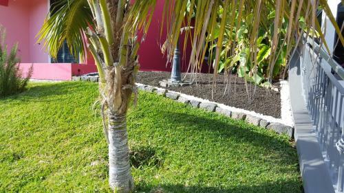 Apartamento Pink House