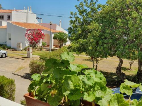 Apartamento Vila Marine