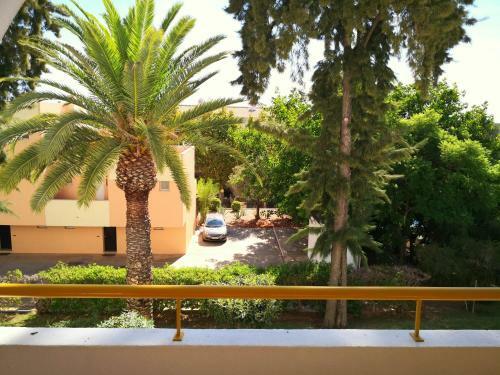 Apartamento Dreaming Of Algarve