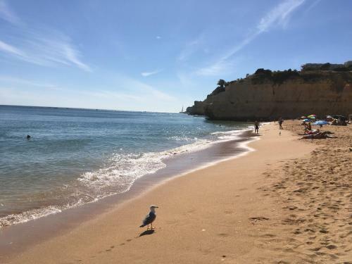 Apartamento Vila Paderne - Solar Dos Mouros