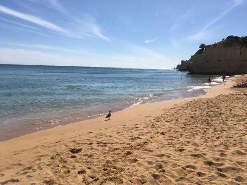 Apartamento Vila Paderne - Solar Dos Mouros