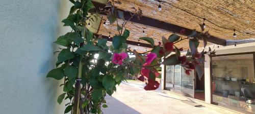 Hostal Fernandes Guest House&bungalows