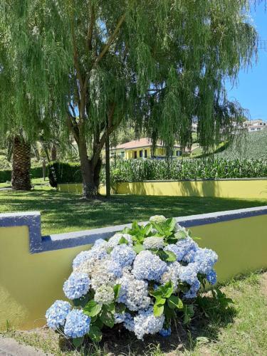 Hostal Quinta Das Palmeiras