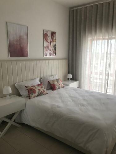 Dom Quixote Apartamentos Tur�sticos
