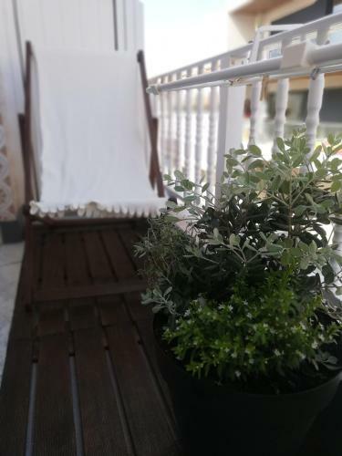 Hostal O Violas - Art Coffee & Guesthouse