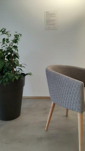 Hostal O Violas - Art Coffee & Guesthouse