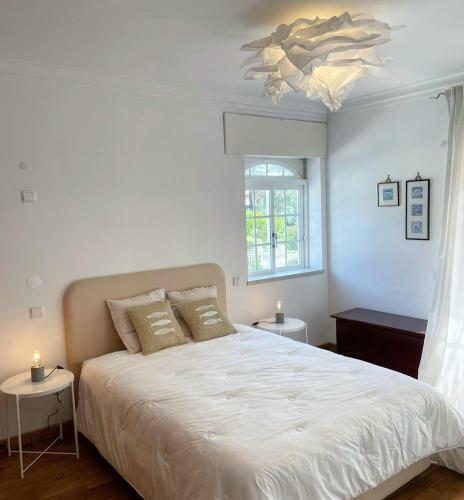 363 Beach Villa