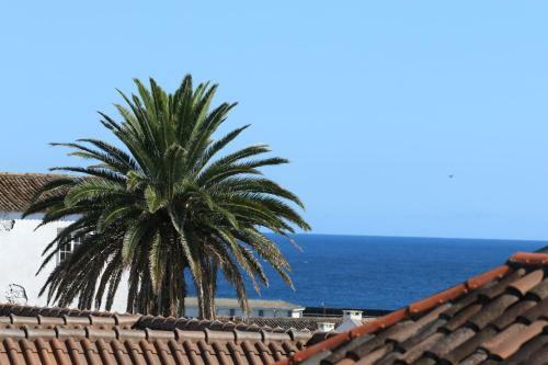 Apartamento Central Top Floor W/terrace Oceanview