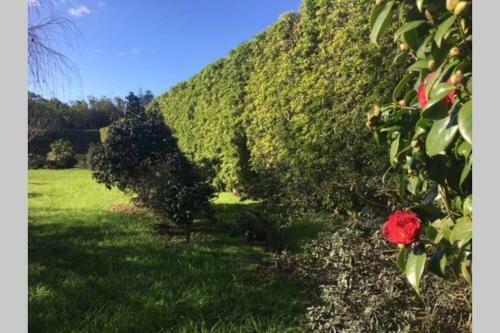 Quinta Do Ferreiro