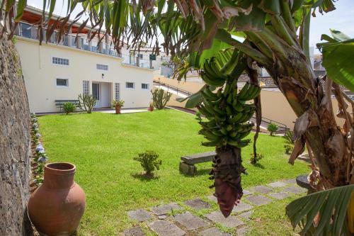 Quinta Do Pico