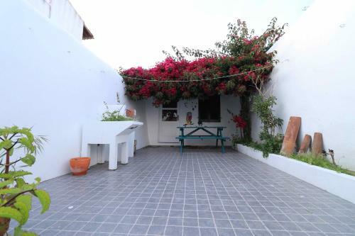 Oriana's House