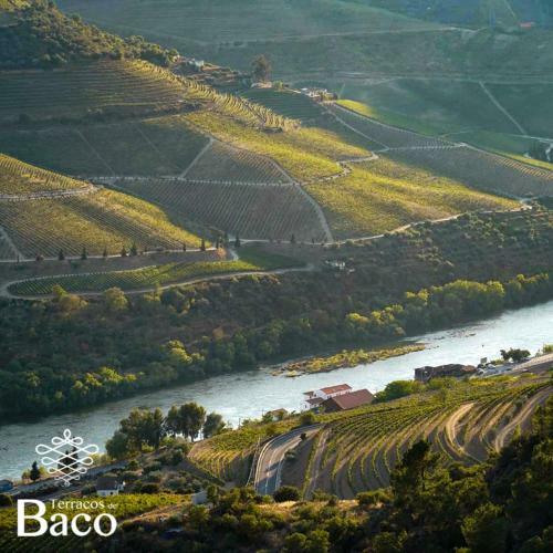 Agroturismo Terra�os de Baco