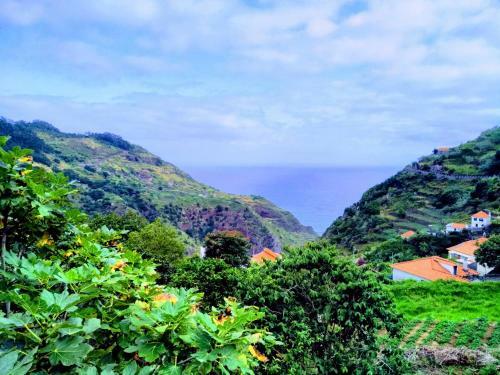 Quinta Do Serrado II