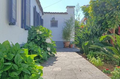 Casa Azores Zen
