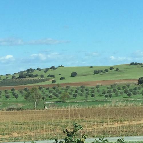 Monte Capit�o Country House