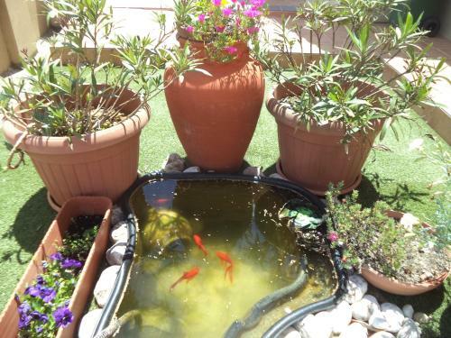 Quartos Golfinho