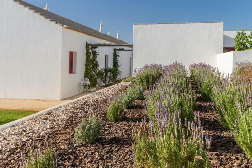 Quinta Da V�rzea Do Farelo