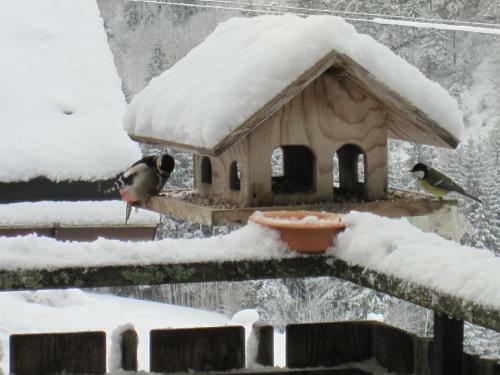 Hostal Caf� Pension Zum J�ger