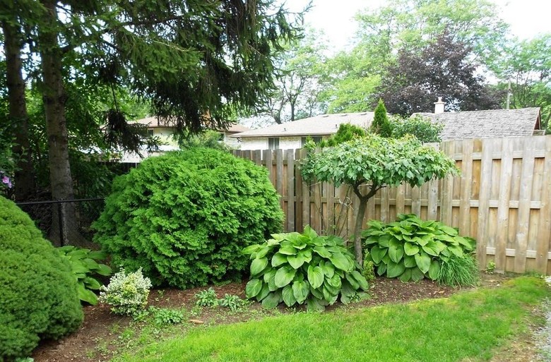 Harbour Heights B&B