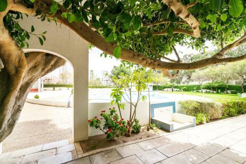 Apartamentos Ocean View By Encantos Do Algarve - 910