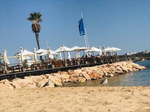 Apartamento Sofiamar Holidays - Flamingo