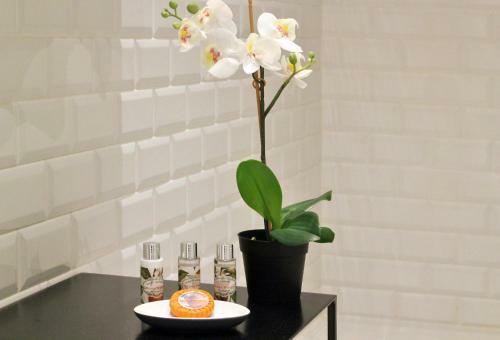 Apartamento Hm - The Garden