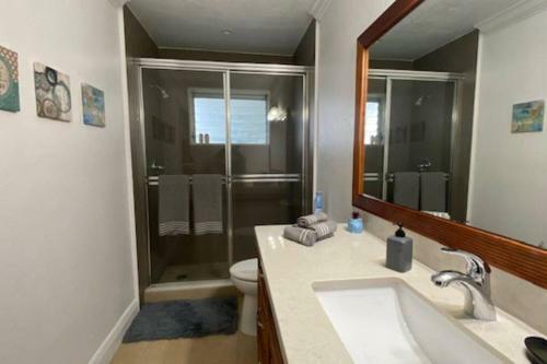 Perfect Balanced Apartment, Renewed;
