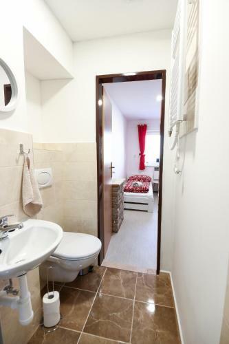 Hostal Penzion U Pale?k?