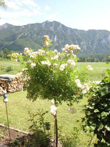 Hostal G�stehaus Barbara Schwaiger