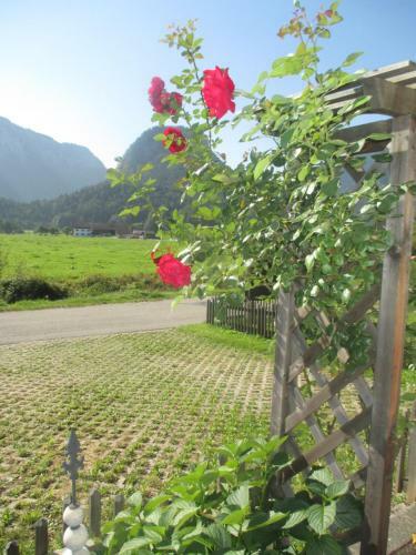 Hostal G�stehaus Barbara Schwaiger