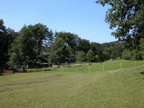 Hostal Pension Haus Am Walde