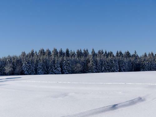 Hostal Pension Haus Am Walde