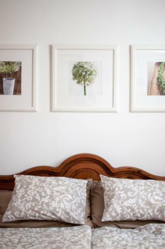 Apartm�n ?eleznice
