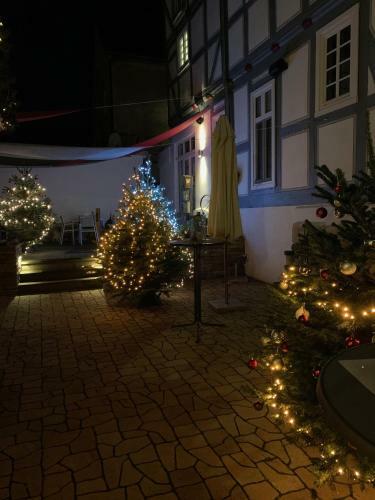 Apartamento Wohlf�hl Appartments