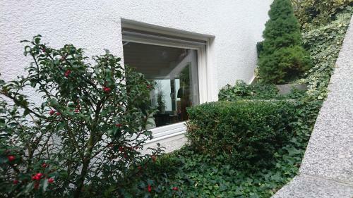 Apartamento Haardblick