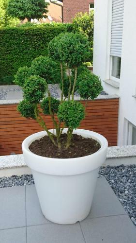 Apartamento Haardblick