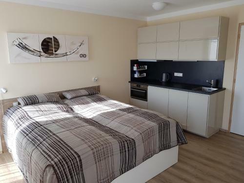 Apartamento Lou?n� Pod Kl�novcem 120/3