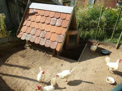 Apartamento Ferienwohnung Pusteblume