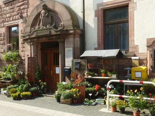 Apartamento Ferienwohnung Pusteblume