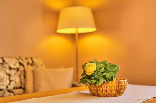 Apartamentos Haus Wiesengrund