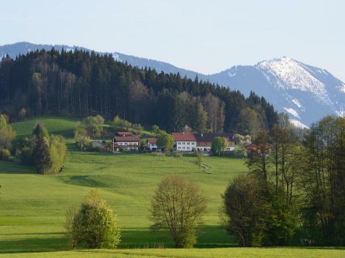 Agroturismo Braunhof