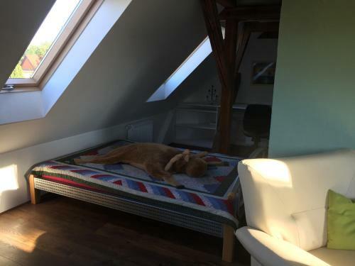Apartamento Ferienwohnung Schulze