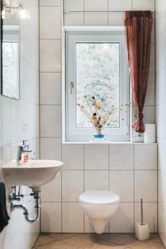 Apartamento Ferienhaus An Der Wiederitz