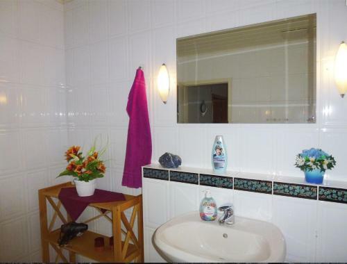 Hostal Pension Bergmann-welp