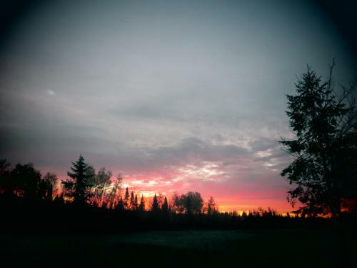 Bed & Breakfast Le G�te Ambrelane