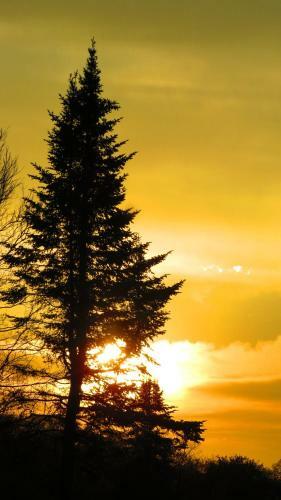 Bed & Breakfast Le G�te Ambrelane