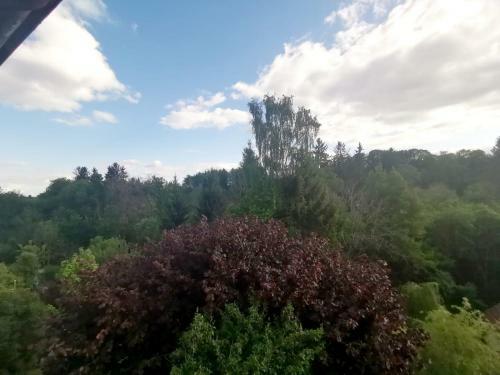 Apartamento Ferienwohnung Im Manbach